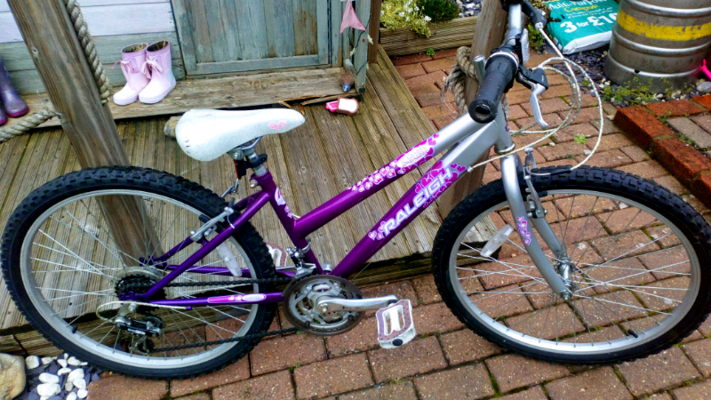 raleigh girls mountain bike